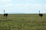 Serengeti National Park